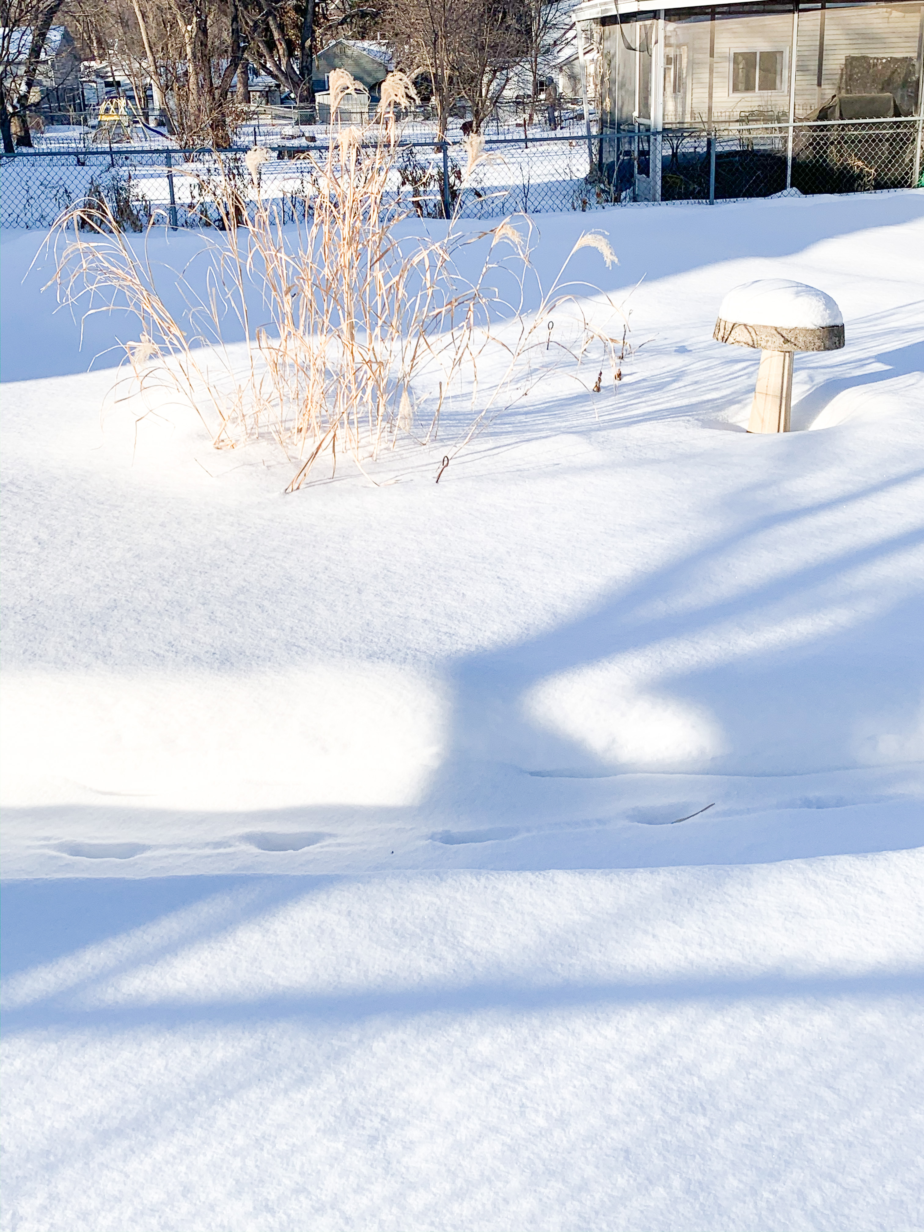 iowa winter